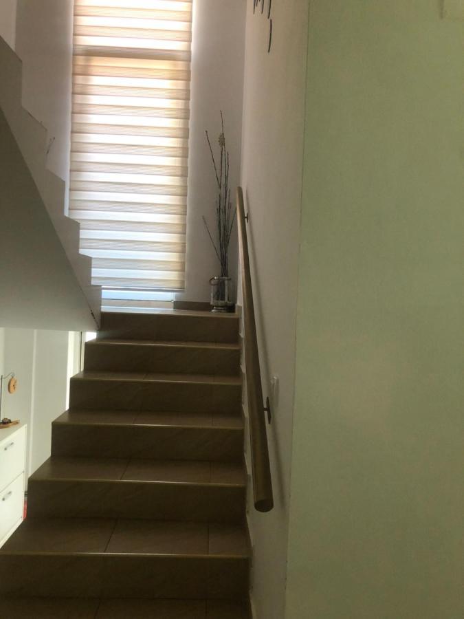 Apartments Dunja Novi Sad Bagian luar foto